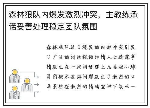 森林狼队内爆发激烈冲突，主教练承诺妥善处理稳定团队氛围