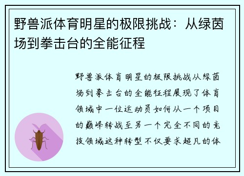 野兽派体育明星的极限挑战：从绿茵场到拳击台的全能征程